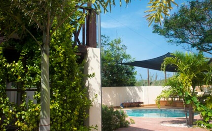 pool 3.v1.jpg